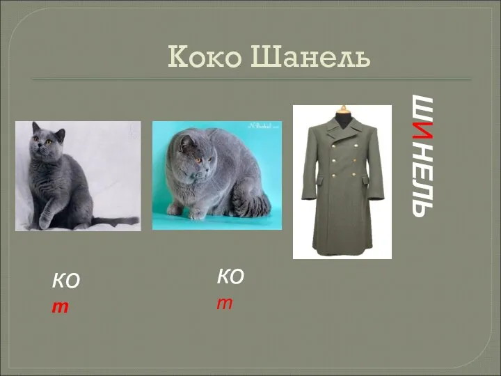 Коко Шанель кот кот ШИНЕЛЬ