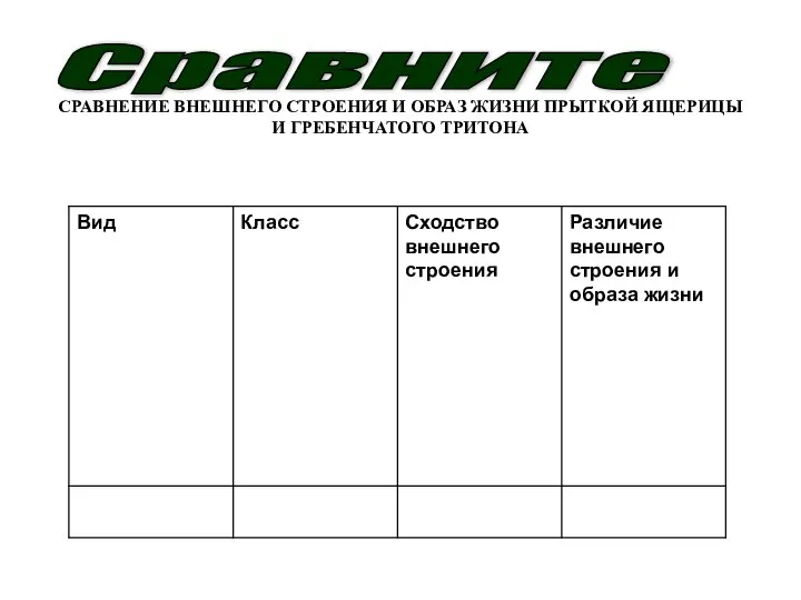 Сравните СРАВНЕНИЕ ВНЕШНЕГО СТРОЕНИЯ И ОБРАЗ ЖИЗНИ ПРЫТКОЙ ЯЩЕРИЦЫ И ГРЕБЕНЧАТОГО ТРИТОНА