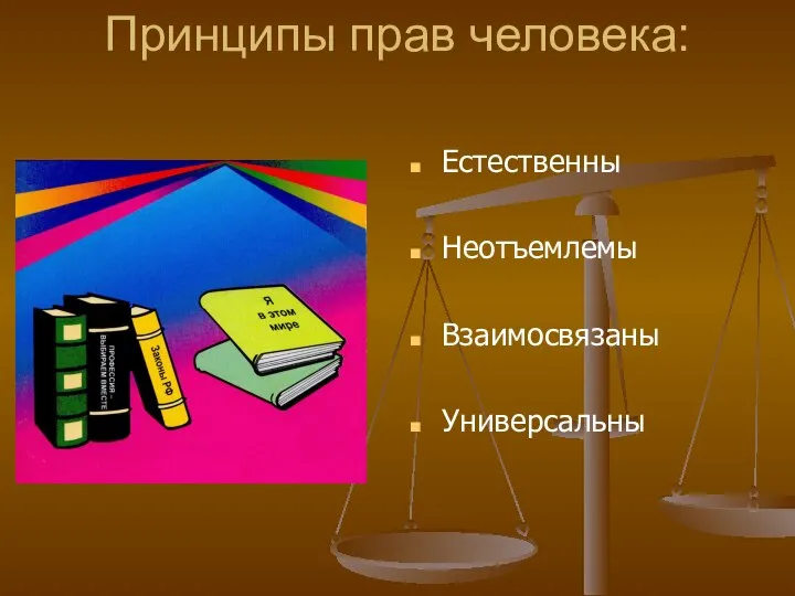 Принципы прав человека: Естественны Неотъемлемы Взаимосвязаны Универсальны