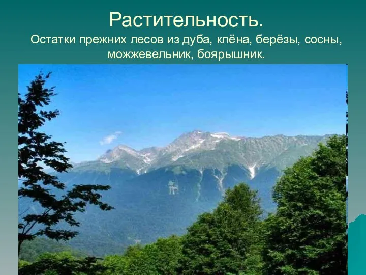 Растительность. Остатки прежних лесов из дуба, клёна, берёзы, сосны, можжевельник, боярышник.