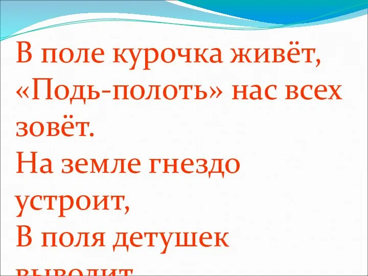 В поле курочка живёт, «Подь-полоть» нас всех зовёт. На земле гнездо устроит, В поля детушек выводит.