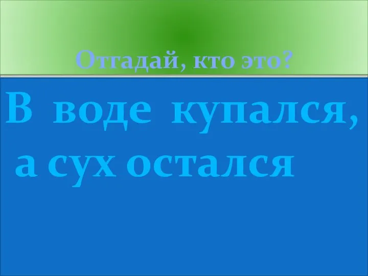 Отгадай, кто это? В воде купался, а сух остался