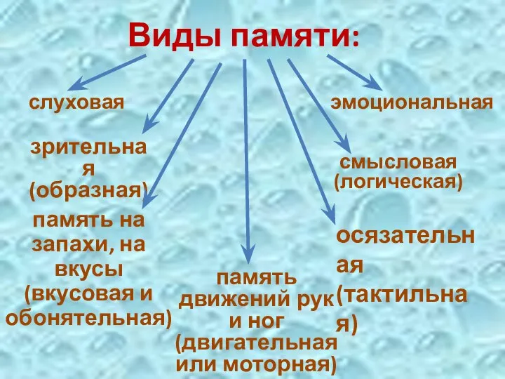 Виды памяти: зрительная (образная) память движений рук и ног (двигательная или