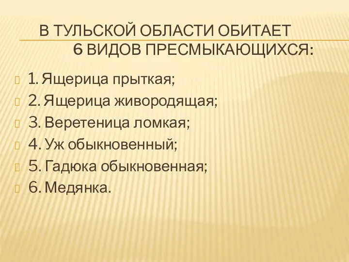 В Тульской области обитает 6 видов пресмыкающихся: 1. Ящерица прыткая; 2.