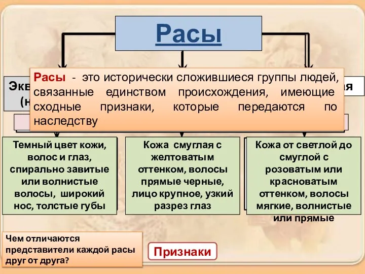 Признаки Расы - это исторически сложившиеся группы людей, связанные единством происхождения,