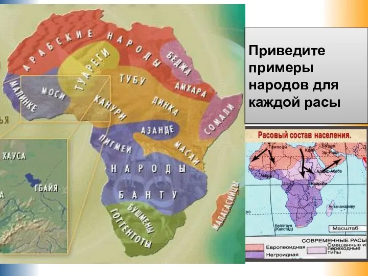 Приведите примеры народов для каждой расы