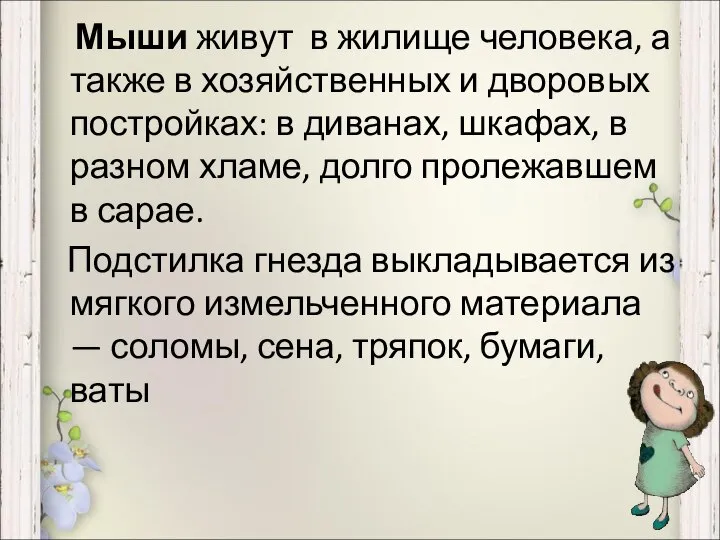 Мыши живут в жилище человека, а также в хозяйственных и дворовых