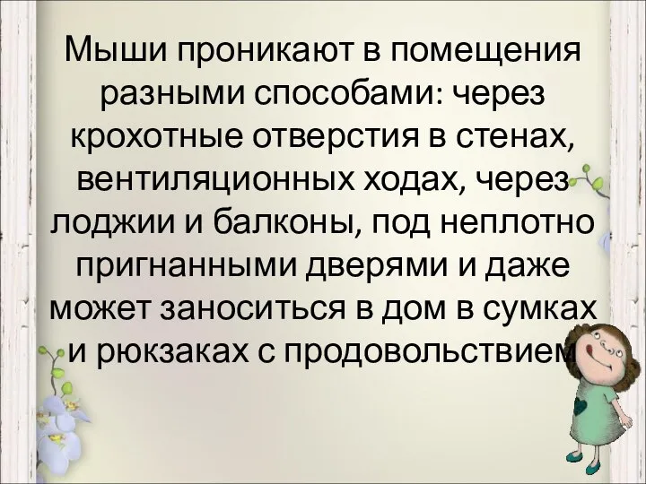 Мыши проникают в помещения разными способами: через крохотные отверстия в стенах,