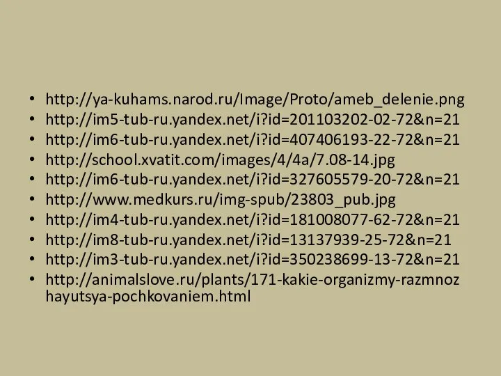 http://ya-kuhams.narod.ru/Image/Proto/ameb_delenie.png http://im5-tub-ru.yandex.net/i?id=201103202-02-72&n=21 http://im6-tub-ru.yandex.net/i?id=407406193-22-72&n=21 http://school.xvatit.com/images/4/4a/7.08-14.jpg http://im6-tub-ru.yandex.net/i?id=327605579-20-72&n=21 http://www.medkurs.ru/img-spub/23803_pub.jpg http://im4-tub-ru.yandex.net/i?id=181008077-62-72&n=21 http://im8-tub-ru.yandex.net/i?id=13137939-25-72&n=21 http://im3-tub-ru.yandex.net/i?id=350238699-13-72&n=21 http://animalslove.ru/plants/171-kakie-organizmy-razmnozhayutsya-pochkovaniem.html