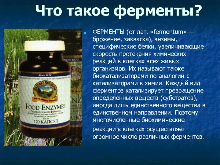 Что такое ферменты? ФЕРМЕ́НТЫ (от лат. «fermentum» — брожение, закваска), энзимы,