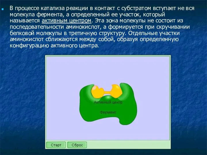 В процессе катализа реакции в контакт с субстратом вступает не вся