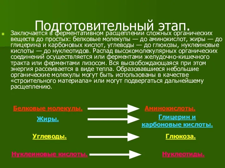 Подготовительный этап. Заключается в ферментативном расщеплении сложных органических веществ до простых: