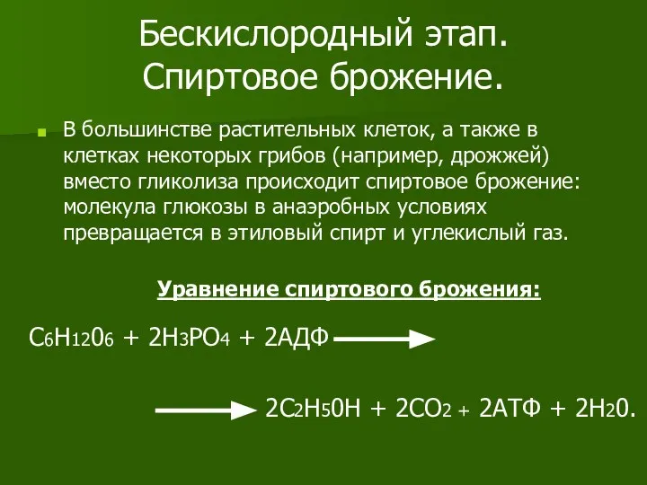 Бескислородный этап. Спиртовое брожение. В большинстве растительных клеток, а также в