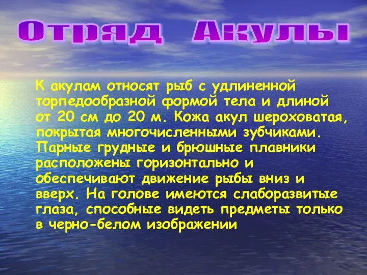 К акулам относят рыб с удлиненной торпедообразной формой тела и длиной