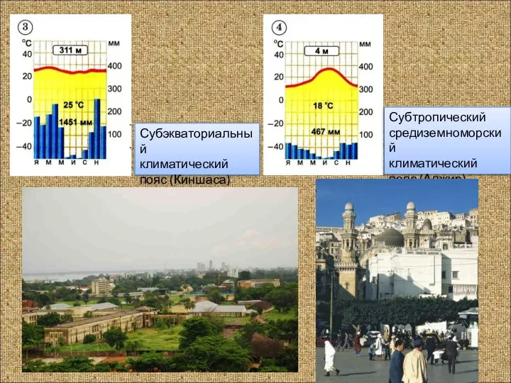 Субэкваториальный климатический пояс (Киншаса) Субтропический средиземноморский климатический пояс (Алжир)