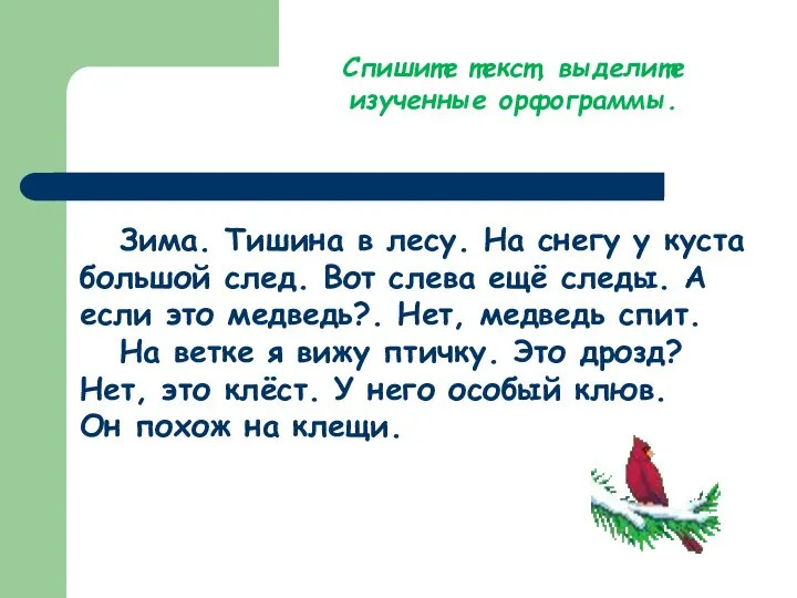 Зима. Тишина в лесу. На снегу у куста большой след. Вот