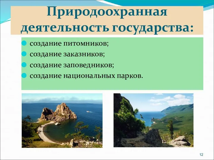 Природоохранная деятельность государства: создание питомников; создание заказников; создание заповедников; создание национальных парков.