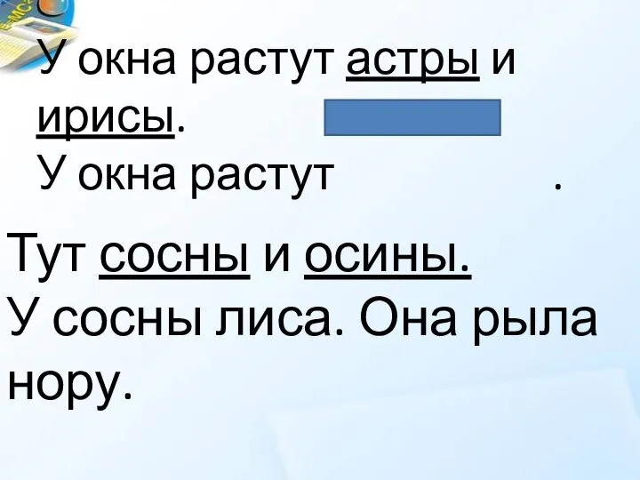 У окна растут астры и ирисы. У окна растут . Тут