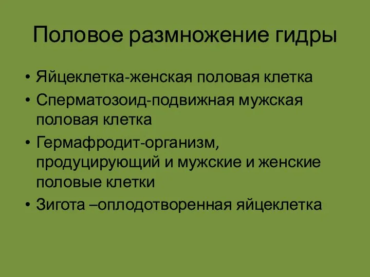 Половое размножение гидры Яйцеклетка-женская половая клетка Сперматозоид-подвижная мужская половая клетка Гермафродит-организм,