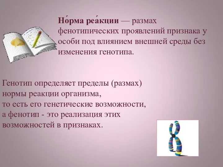 Но́рма реа́кции — размах фенотипических проявлений признака у особи под влиянием