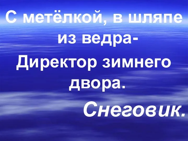 С метёлкой, в шляпе из ведра- Директор зимнего двора. Снеговик.