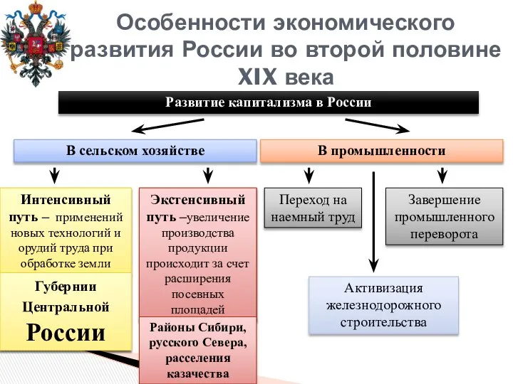 Особенности экономического развития России во второй половине XIX века Развитие капитализма