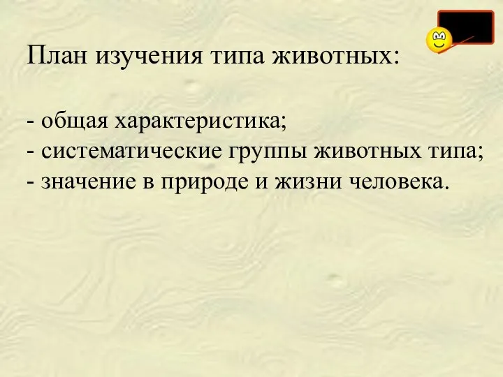 План изучения типа животных: - общая характеристика; - систематические группы животных