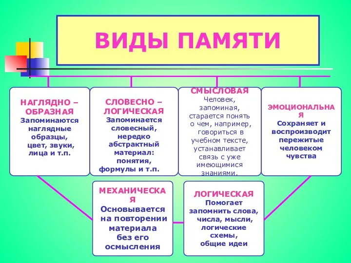 ВИДЫ ПАМЯТИ НАГЛЯДНО – ОБРАЗНАЯ Запоминаются наглядные образцы, цвет, звуки, лица