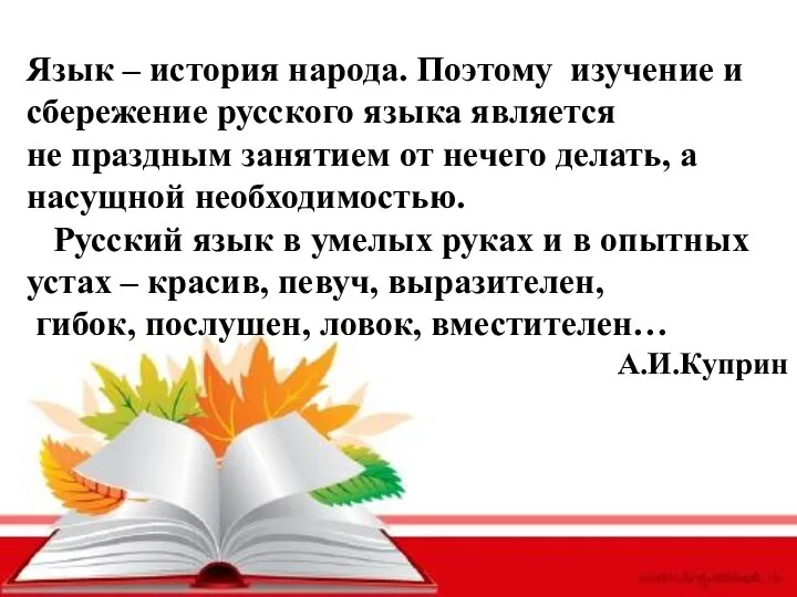 Язык – история народа. Поэтому изучение и сбережение русского языка является