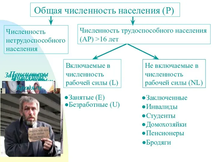 Общая численность населения (P) Численность трудоспособного населения (AP) >16 лет Включаемые