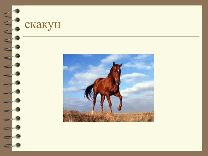 скакун