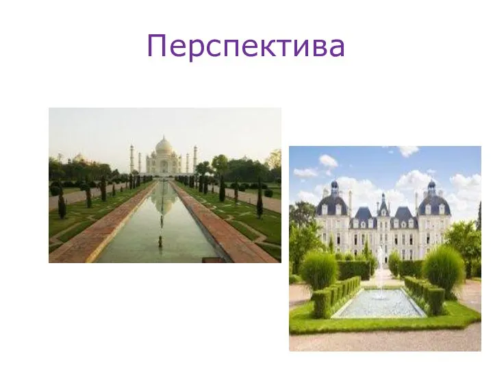 Перспектива