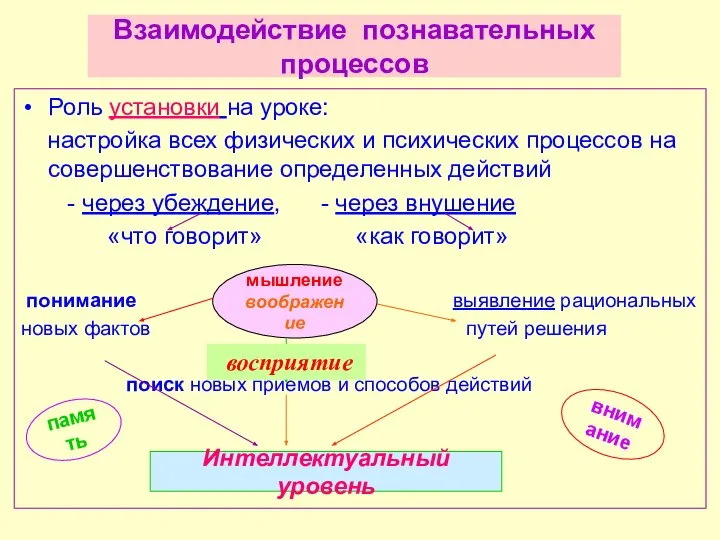 Взаимодействие познавательных процессов Роль установки на уроке: настройка всех физических и