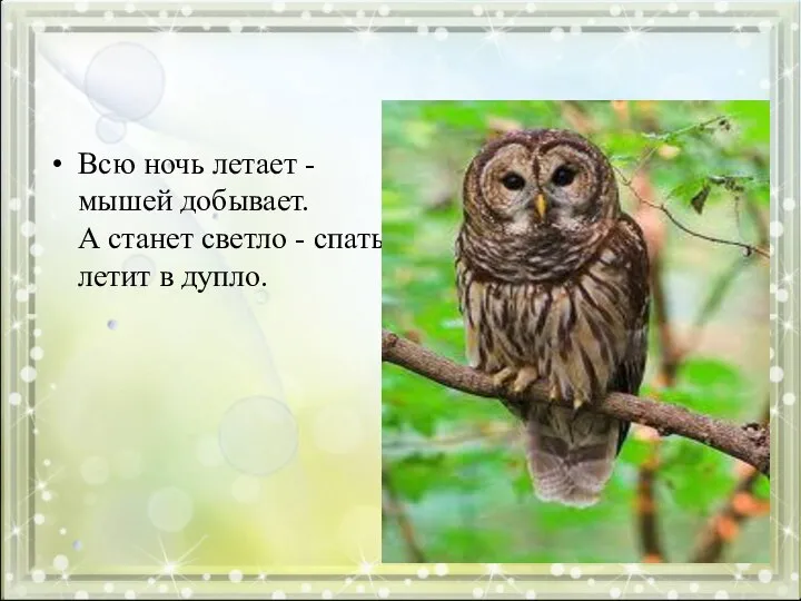 Всю ночь летает - мышей добывает. А станет светло - спать летит в дупло.