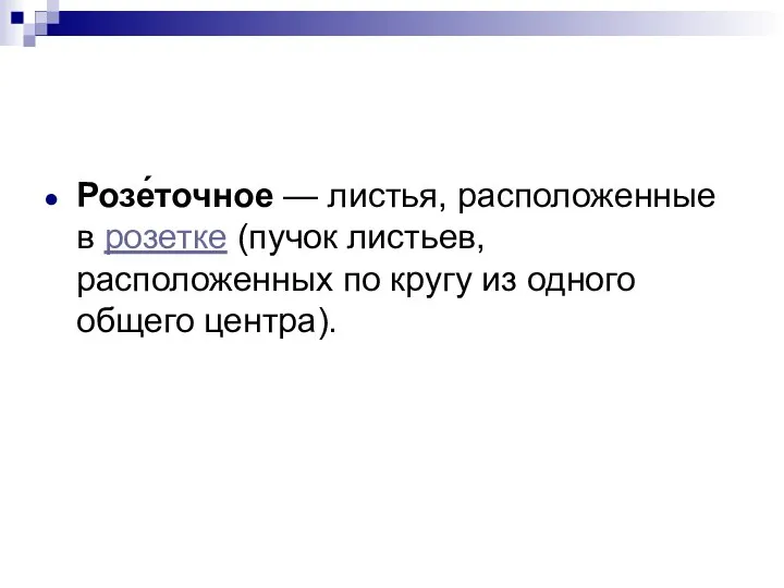 Розе́точное — листья, расположенные в розетке (пучок листьев, расположенных по кругу из одного общего центра).