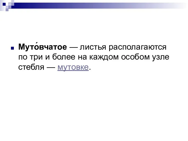 Муто́вчатое — листья располагаются по три и более на каждом особом узле стебля — мутовке.