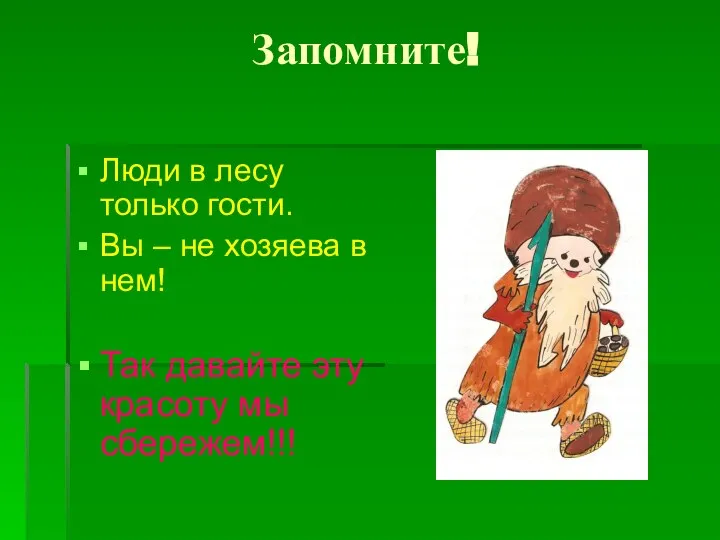 Запомните! Люди в лесу только гости. Вы – не хозяева в