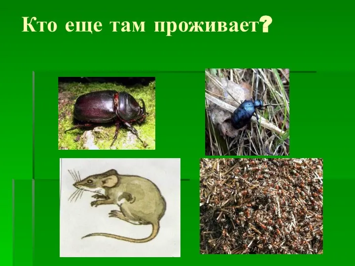 Кто еще там проживает?