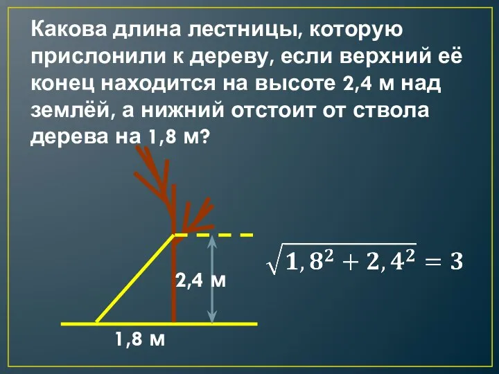 Какова длина лестницы, которую прислонили к дереву, если верхний её конец