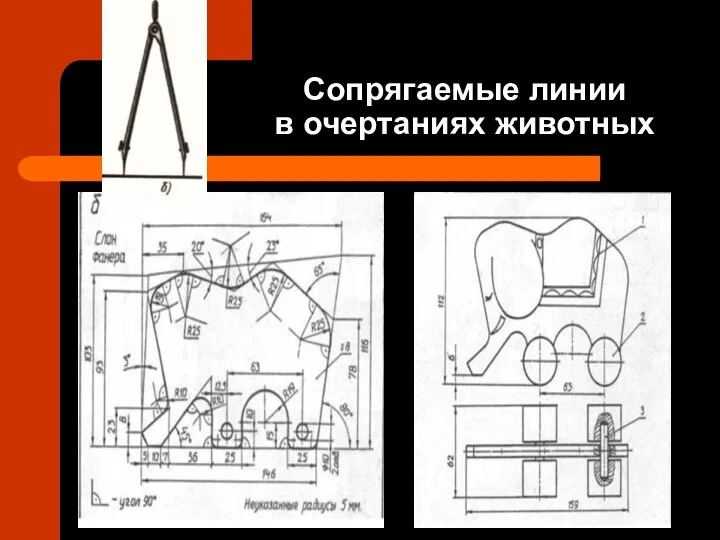 Сопрягаемые линии в очертаниях животных