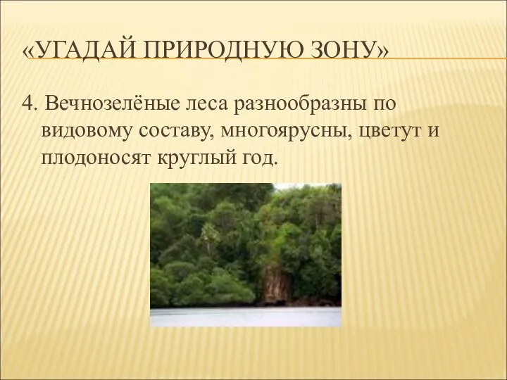 «УГАДАЙ ПРИРОДНУЮ ЗОНУ» 4. Вечнозелёные леса разнообразны по видовому составу, многоярусны, цветут и плодоносят круглый год.