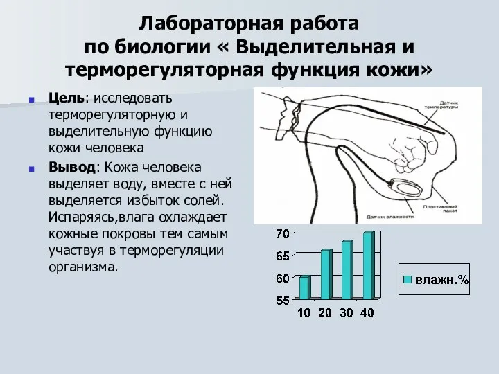 Лабораторная работа по биологии « Выделительная и терморегуляторная функция кожи» Цель: