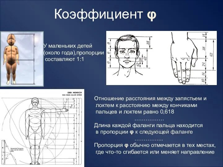 Коэффициент φ Отношение расстояния между запястьем и локтем к расстоянию между