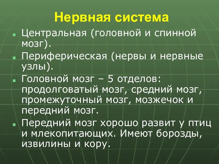 Нервная система Центральная (головной и спинной мозг). Периферическая (нервы и нервные