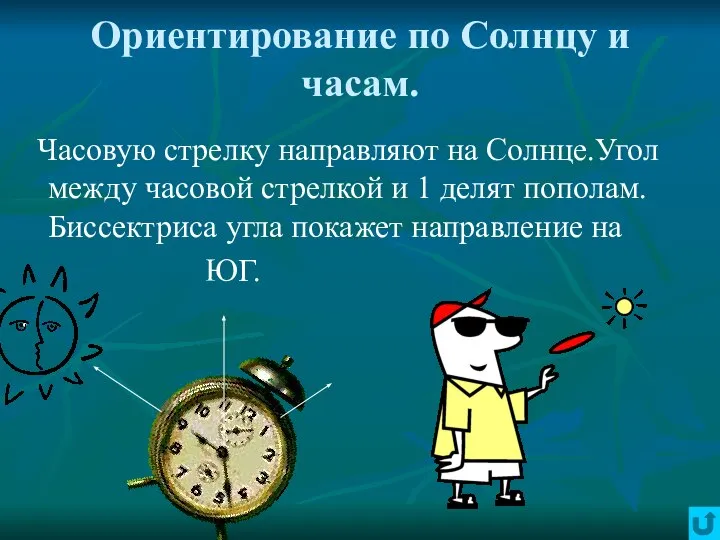 Ориентирование по Солнцу и часам. Часовую стрелку направляют на Солнце.Угол между