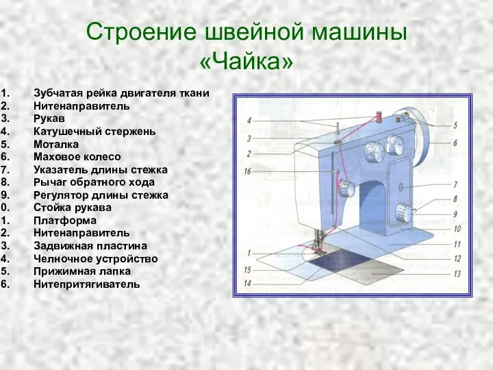 Строение швейной машины «Чайка» Зубчатая рейка двигателя ткани Нитенаправитель Рукав Катушечный