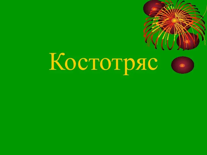 Костотряс