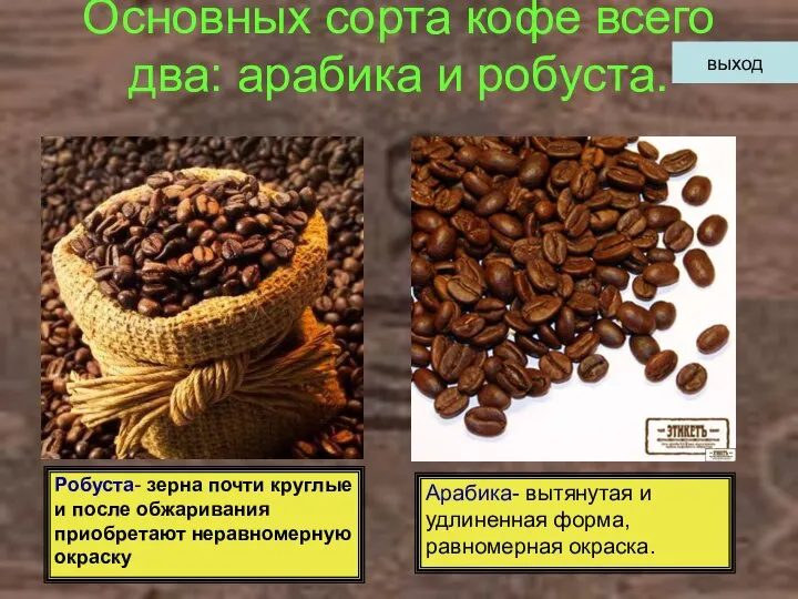 Основных сорта кофе всего два: арабика и робуста. Робуста- зерна почти