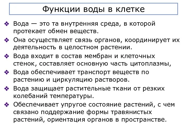 Функции воды в клетке Вода — это та внутренняя среда, в