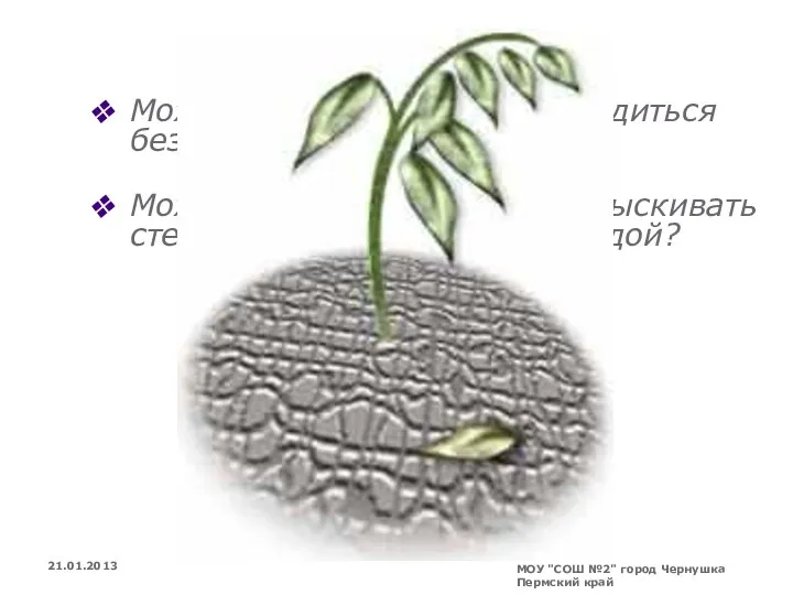 МОУ "СОШ №2" город Чернушка Пермский край Может быть корни могут